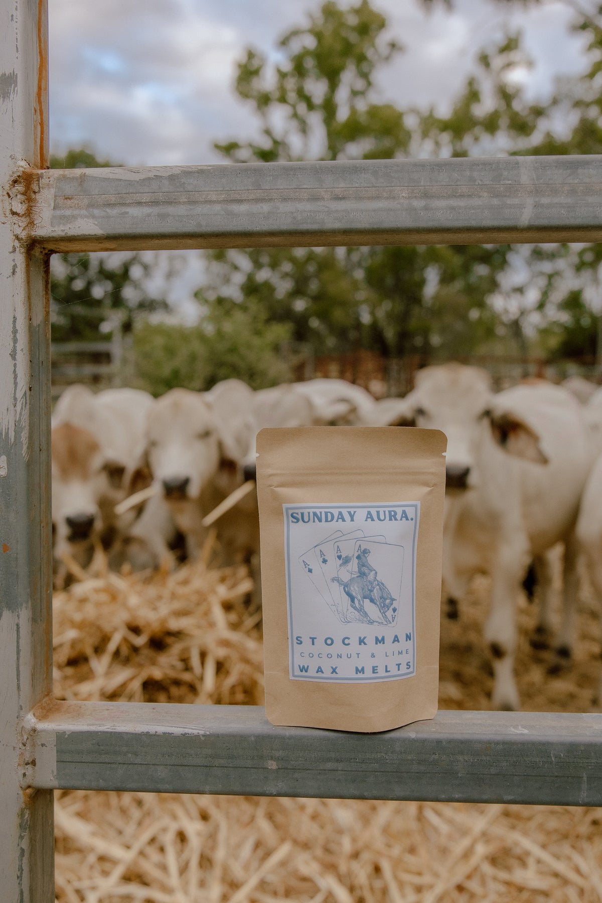 Western Wax Melts
