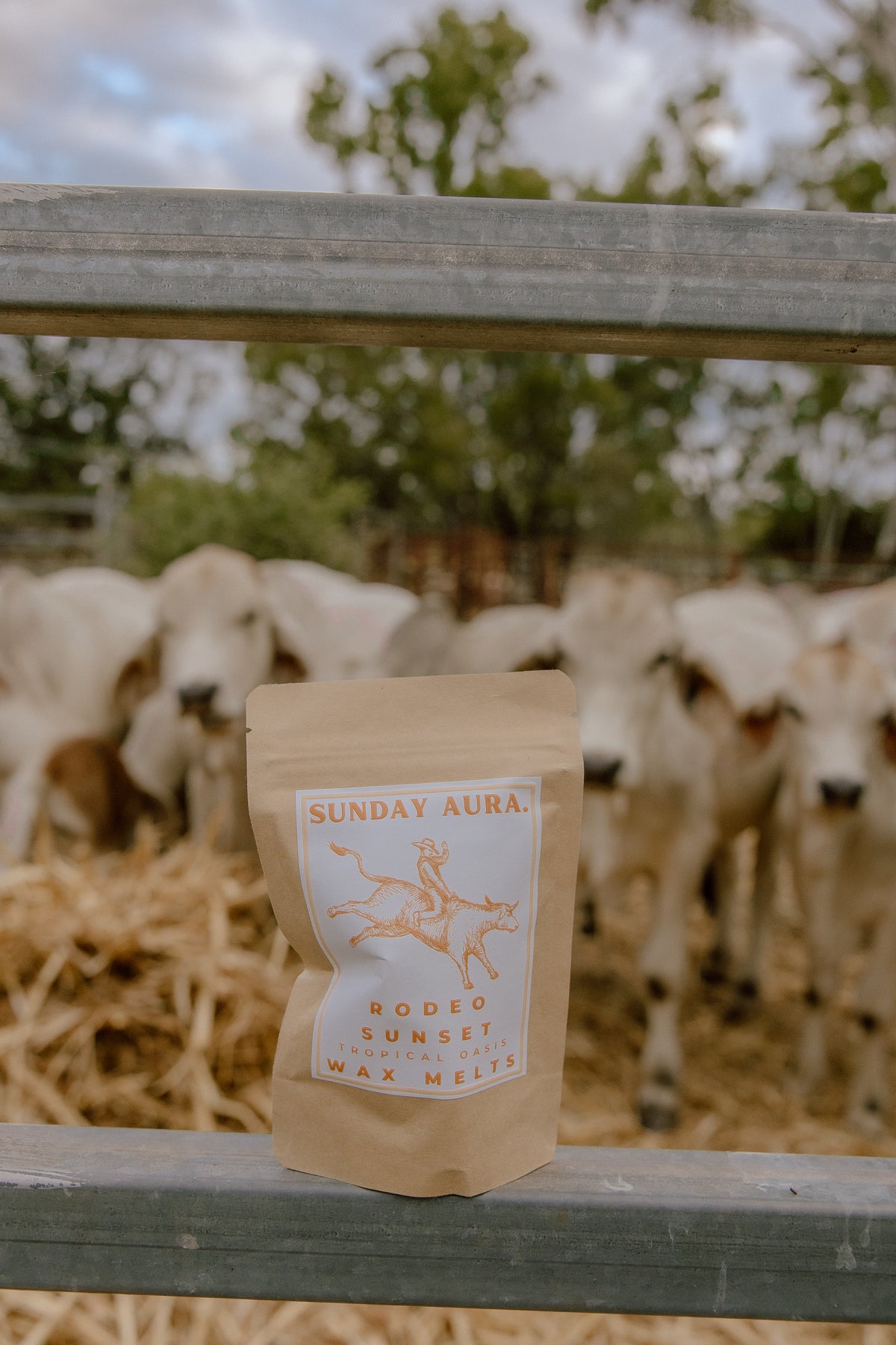 Western Wax Melts