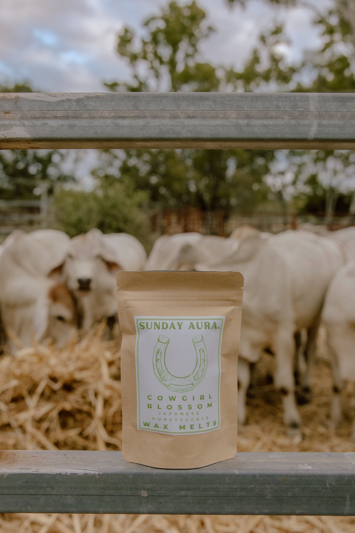 Western Wax Melts