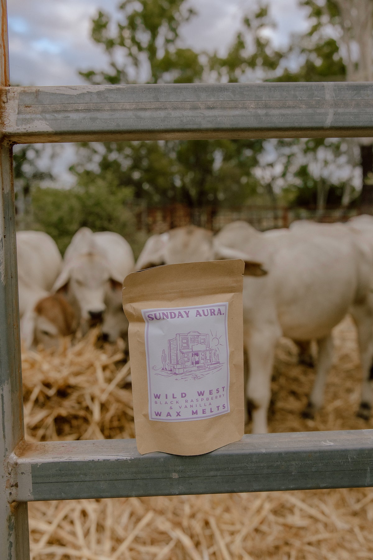 Western Wax Melts
