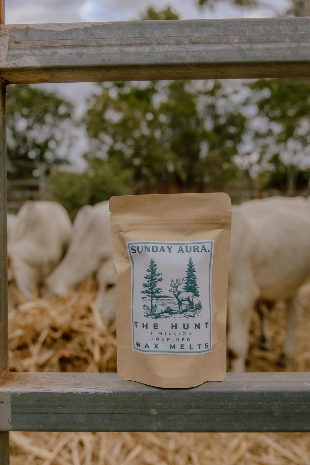 Western Wax Melts