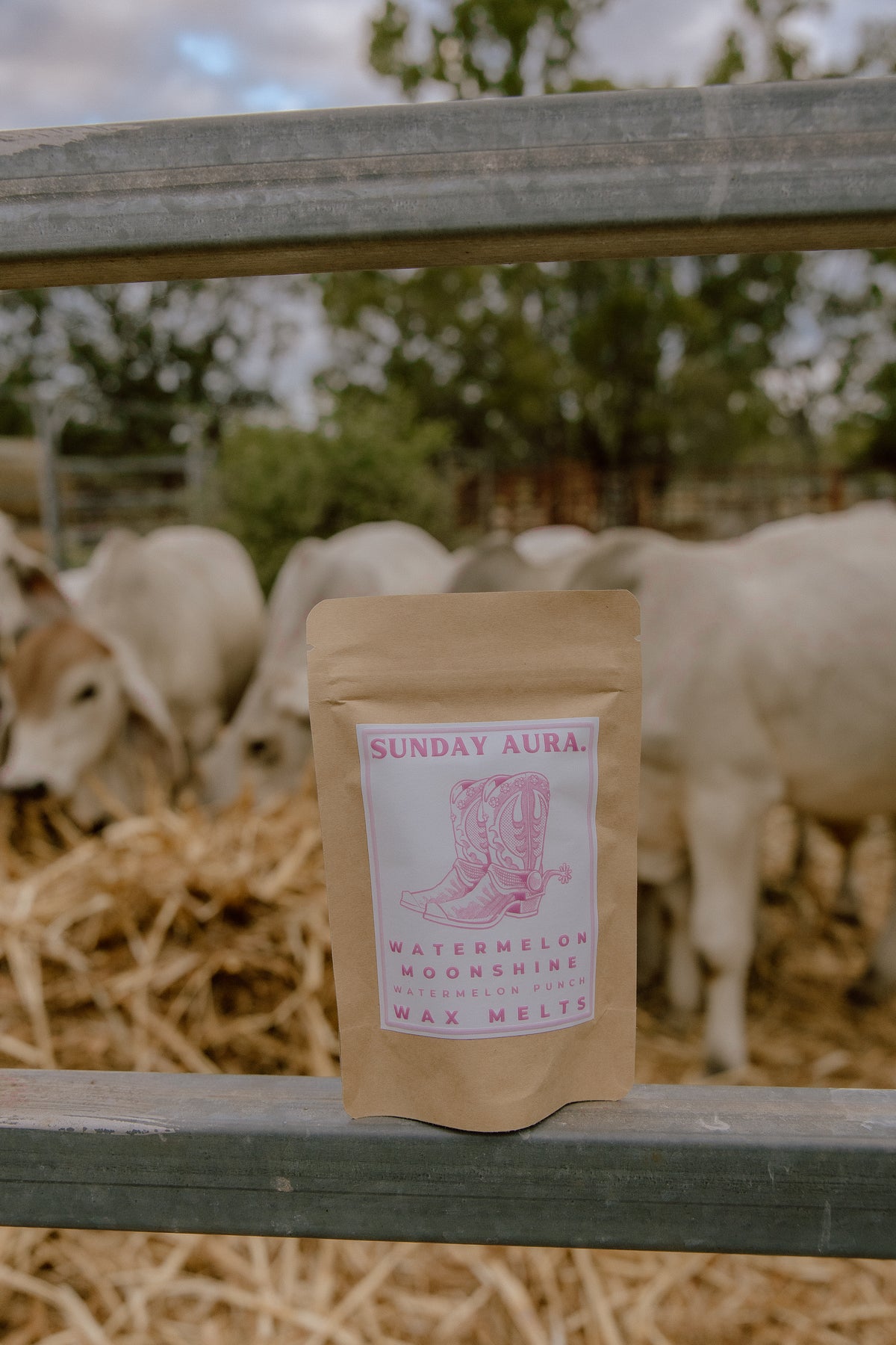 Western Wax Melts