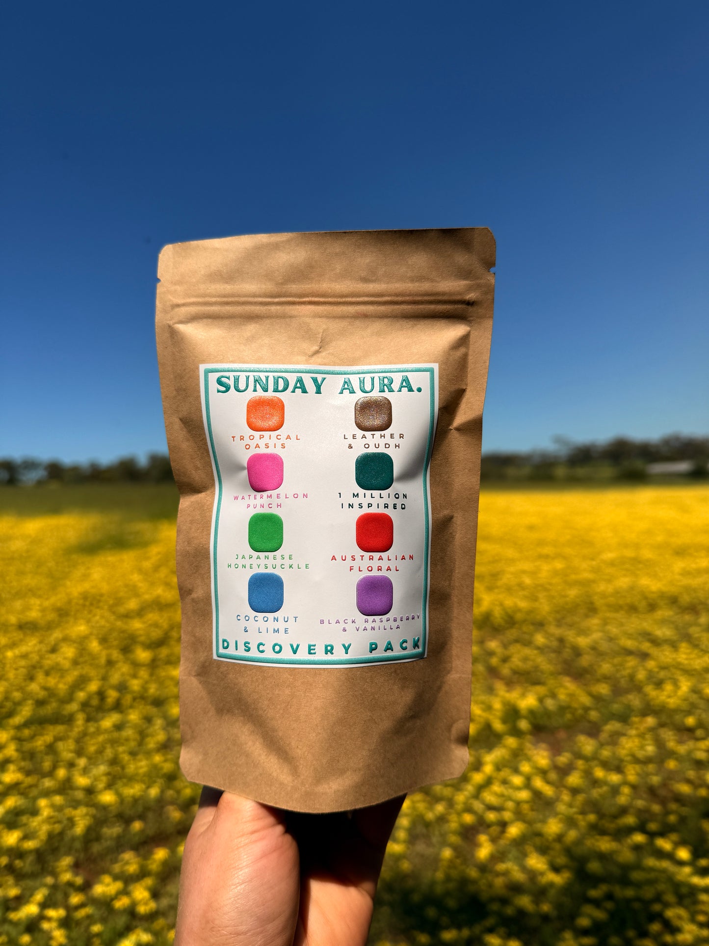 Discovery Pack Melts